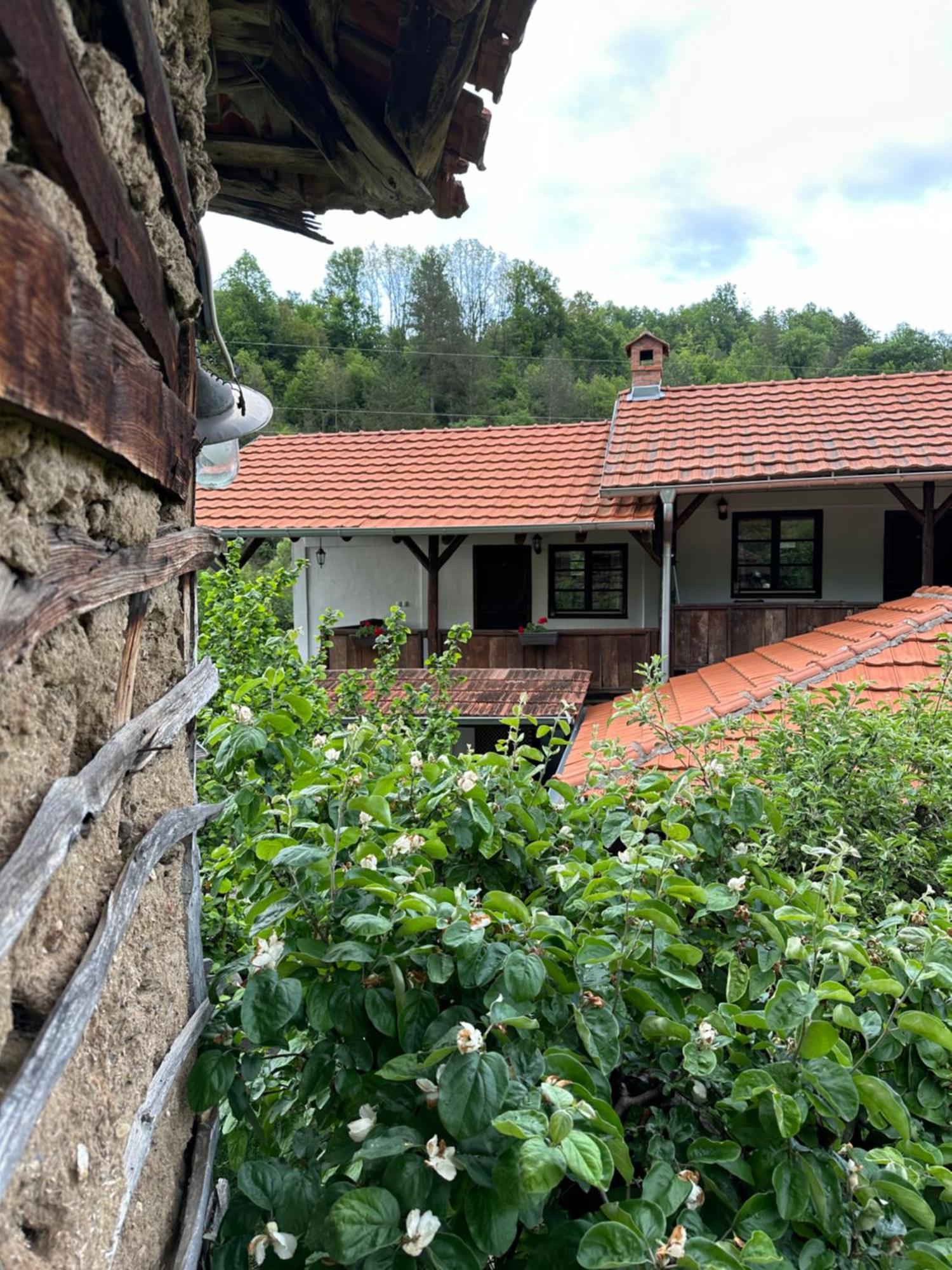 Konak Tosa Poganovo Bagian luar foto